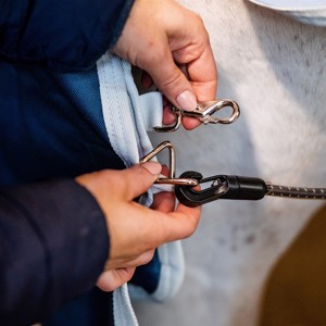 Horseware Eco Liner